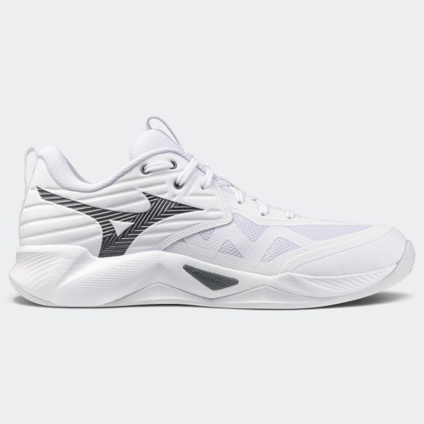 Mizuno Wave Momentum Pro Unisex Volleyball Shoes V1GA254083